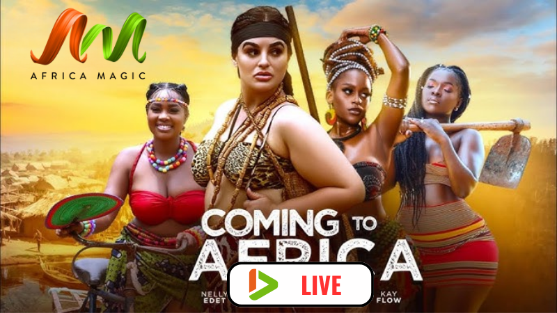 AFRICAN MAGIC (NOLLYWOOD) MOVIE LIVE